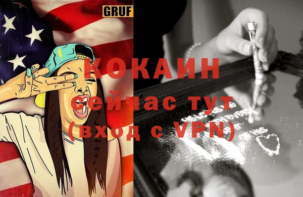 прущие грибы Алзамай