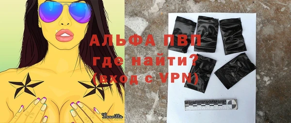 прущие грибы Балахна